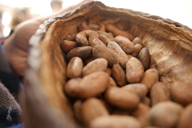 Ultimate Chocolate Tour in Montreal with Included Tastings - Walking and tasting in Montreal’s vibrant Mile End