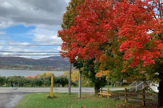 Custom 4 Hour Tour with a Private Driver in Quebec - The Itinerary Breakdown