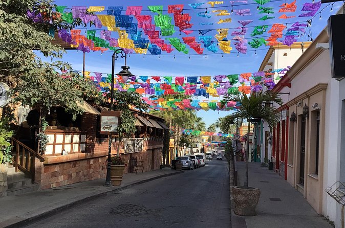 Private transfer at VAN Airport Los Cabos - San Jose del Cabo - Who Will Benefit Most from This Service?