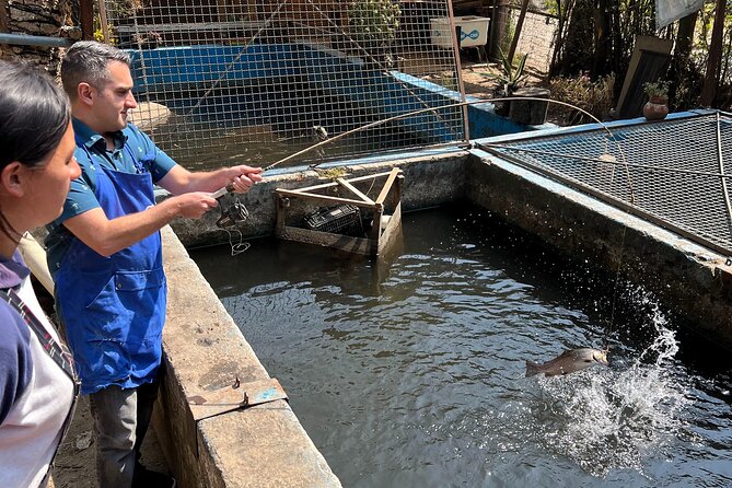 Rural cooking class at the mountains - Final Thoughts