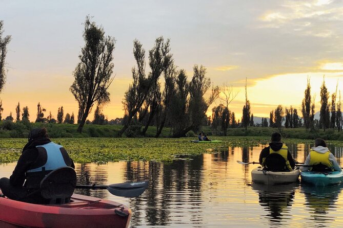 Xochimilco Canals by Kayak - Practical Details and What to Expect