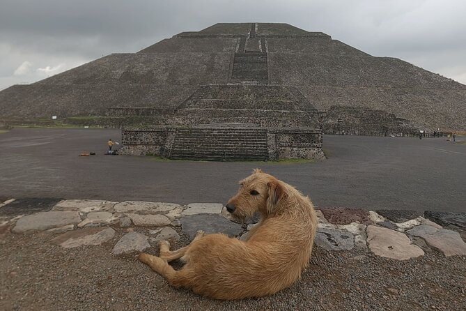 Tour to Teotihuacan from CDMX with entrances included - Why This Tour Stands Out