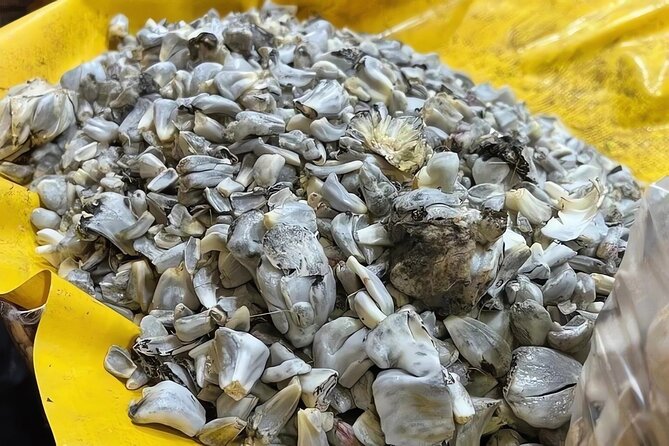 Mexico city: Exploring Mystic Markets La Merced & Sonara - Final Thoughts