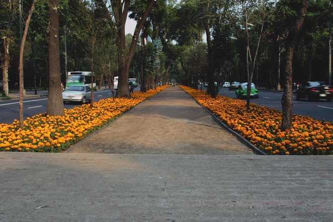 Mexico City PRIVATE Lucha Libre, mezcal & Tacos on a 1975 VW Bus - Exploring Mexico City with a Private Lucha Libre, Mezcal & Tacos Tour on a 1975 VW Bus