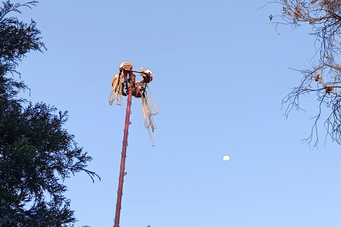 Explore the Underworld at the National Museum of Anthropology - Authentic Insights from Other Travelers