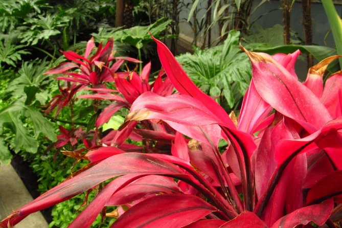 Toluca and Pueblo Mágico de Metepec from Mexico City - Exploring Toluca’s Historic Heart