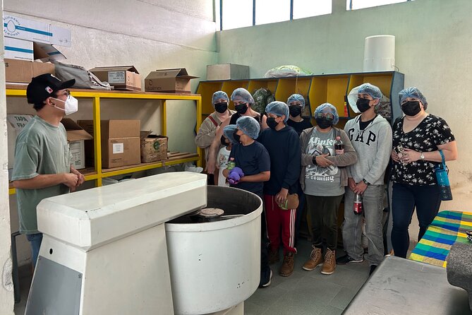 History of "Mole" and tour of the "Doña Elena" factory - Key Points
