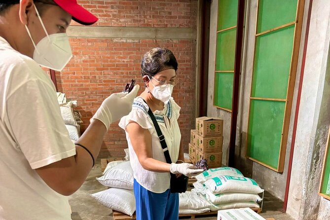 History of "Mole" and tour of the "Doña Elena" factory - Introduction