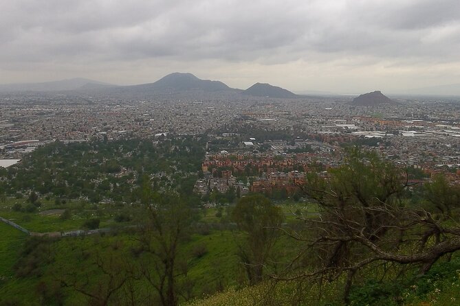 Chinampas Eco Immersion Mexico City - Final Thoughts