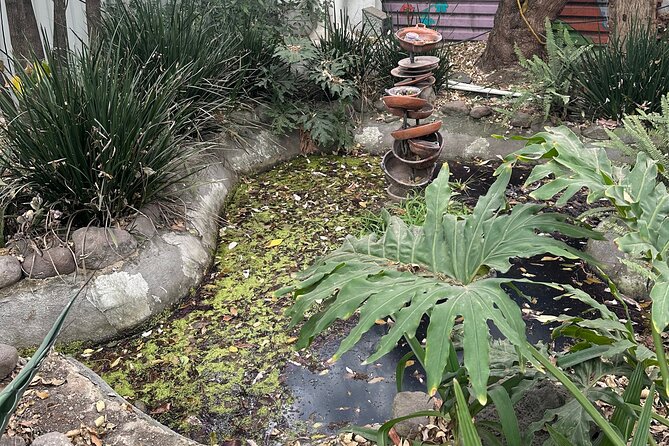 Chinampas Eco Immersion Mexico City - Authenticity and Value for Money