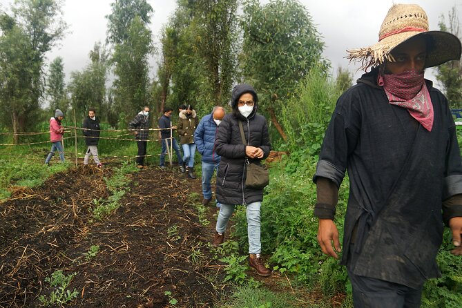 Xochimilco Ancestral Ajolotos Chinampas and Living Tradition - Why This Tour Offers Real Value