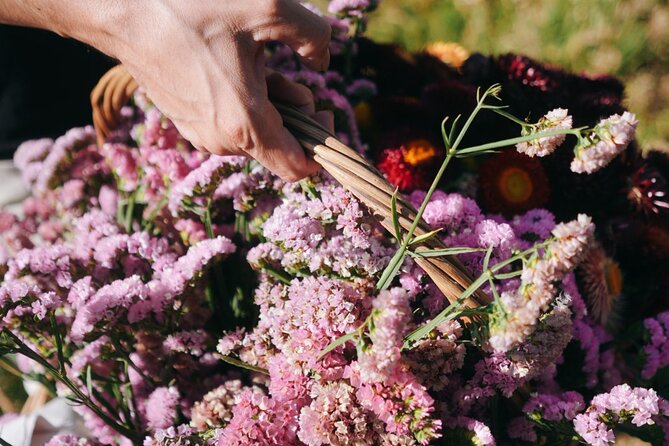 Xochimilco Ancestral Ajolotos Chinampas and Living Tradition - Final Thoughts