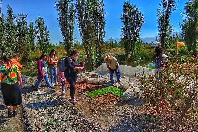 Xochimilco Sunrise Kayak Ajolote - Who should consider this tour?