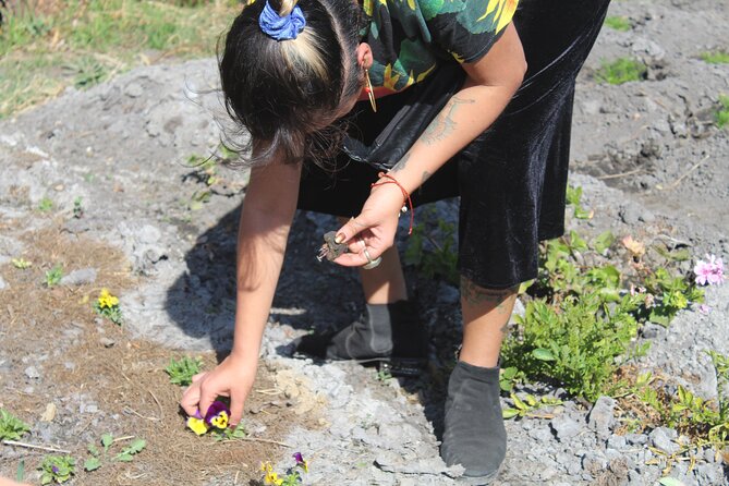 Xochimilco Sunrise Kayak Ajolote - Final thoughts