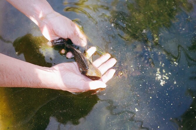 Xochimilco Sunrise Kayak Ajolote - FAQs about the Xochimilco Sunrise Kayak Ajolote tour