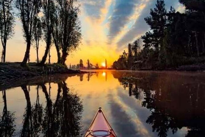 Xochimilco Sunrise Kayak Ajolote - A tranquil morning on Xochimilco’s canals with the Sunrise Kayak Ajolote tour