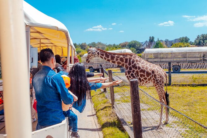 Teotihuacán for kids - FAQs