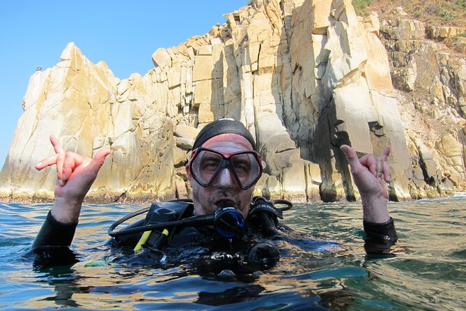 2 Tank Boat Dives for Certified Divers - Introduction: What This Tour Offers and Why It’s Special