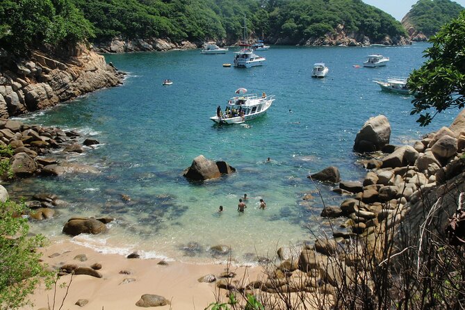 2 Tank Boat Dives for Certified Divers - Pricing and Value