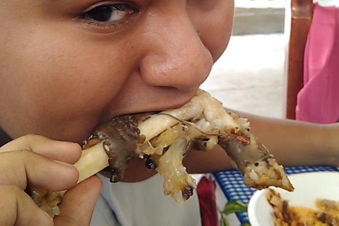 Taco Tour - What We Love About the Taco Tour