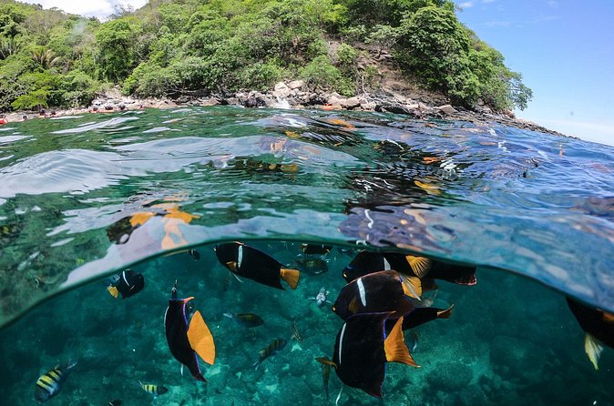 Marietas Islands Sailing Private Tour - 8 Hours of Paradise - The Food and Beverages