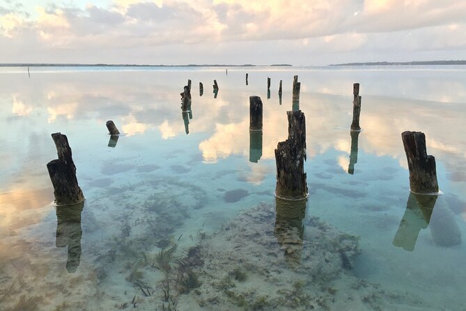 Tours_Puerto Vallarta_Private Transfer From Puerto Vallarta To Mazatlan_D630 137266P597 Review - Pricing and Value