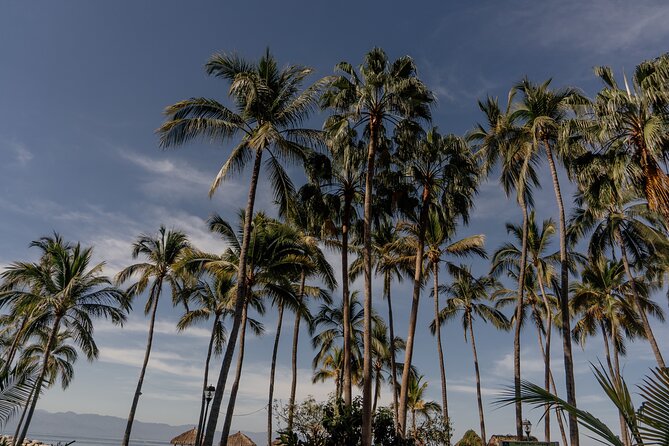 Photo Session Experience in Vallarta - A Close Look at the Experience