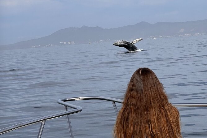 Private Yacht, Sightseeing, Snorkeling and Private beaches - Frequently Asked Questions