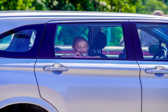 Airport Pickup in Puerto Vallarta: Private Round Trip of 22km - Final Thoughts