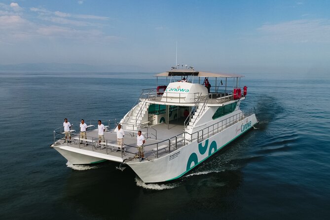 Whale Watching Adventure In Puerto Vallarta - The Breakdown of the Itinerary