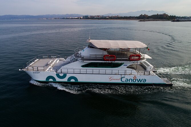 Whale Watching Adventure In Puerto Vallarta - What Travelers Say: Authentic Insights