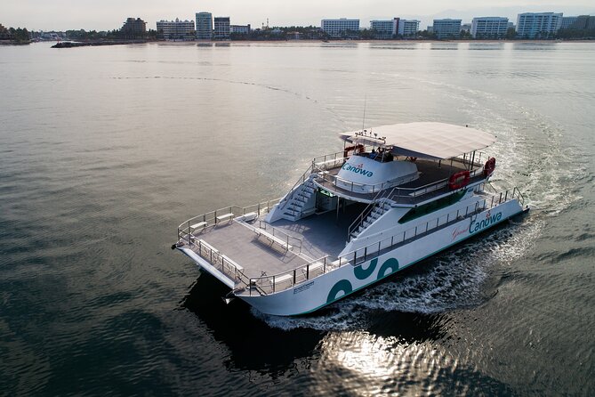 Whale Watching Adventure In Puerto Vallarta - Why This Tour Stands Out