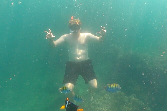 Snorkeling at Los Arcos 5 islands Hidden Beach and Cliff Jumping - Who Will Love This Tour?