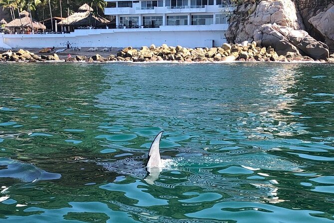 Puerto Vallarta City Tour By The Sea aboard Bruna - What Makes This Tour Stand Out?