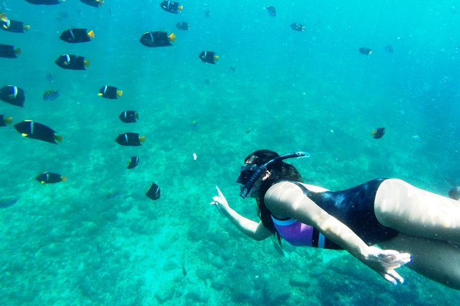 Private trip: snorkeling at Los Arcos & Colomitos beach - Exploring the Itinerary in Detail