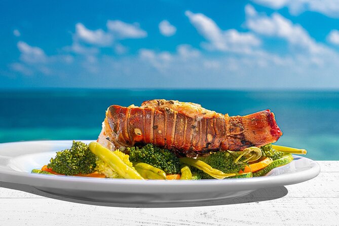 Puerto Morelos Reef Snorkeling Tour with Lunch & Hotel Pickup - Exploring the Puerto Morelos Reef Snorkeling Tour