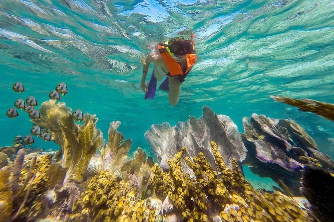 Puerto Morelos Reef Snorkeling Tour with Lunch & Hotel Pickup - Frequently Asked Questions