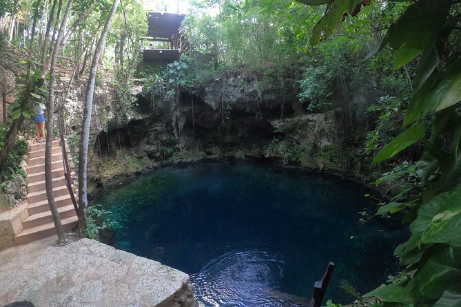 Cancun: Discover the Hidden Treasures: Exploring 3 Jungle Cenotes - A Closer Look at the Cenote Adventure
