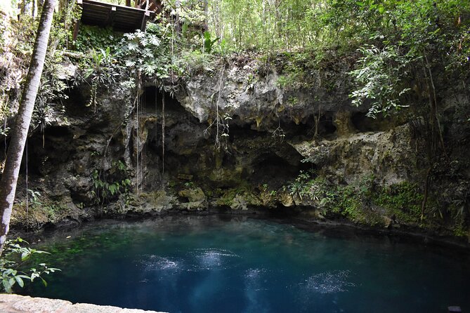 Cancun: Discover the Hidden Treasures: Exploring 3 Jungle Cenotes - Why This Tour Works Well