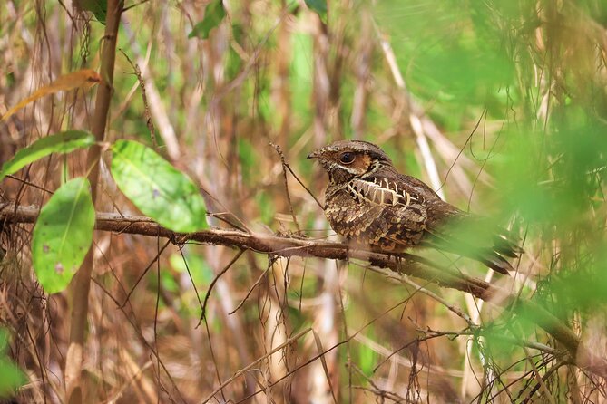 Kayaking Adventure at the Nichupte Lagoon in Cancun - Analyzing the Value and Overall Impression