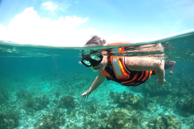 Speed boat aventure and snorkel - The Sum Up: Is It Worth It?