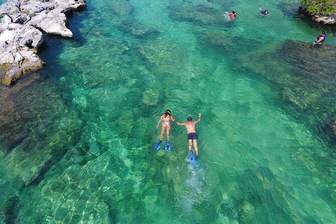 Yalku Lagoon and Cenote Express - Insights from Travelers and Practical Details