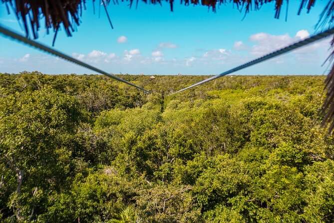 Half Day tour Zipline + Rappel + Cenote from Riviera Maya hotels - Final Thoughts: Who Is This Tour Best For?
