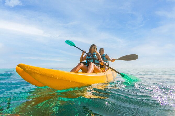 Royal Garragon with Dolphin Encounter in Isla Mujeres - The Journey to Isla Mujeres