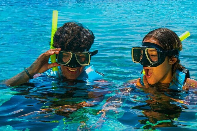 Royal Garragon with Dolphin Encounter in Isla Mujeres - Other Highlights