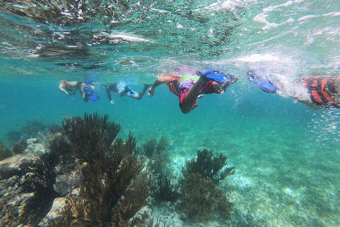 Super Combo ATV in Cancun with Zipline, Snorkel, Cenote, transfer - An Overview of What to Expect