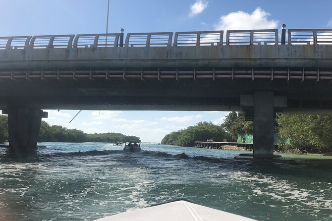 The Best Speedboat Tour In Cancun through Nichupte Lagoon, Snorkel included. - Who Should Book This Tour?