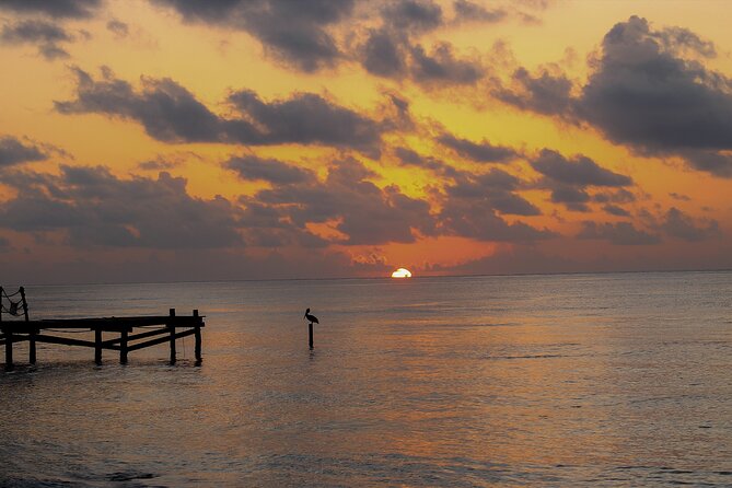 Private Transfer From Chiquila to Playa del Carmen, English Speaking Driver - Value Analysis: Is It Worth the Price?