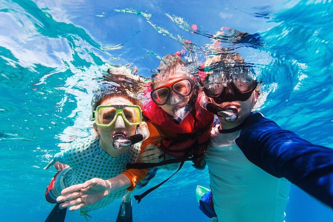 Snorkel in El Cielo Cozumel Reef with Lunch, Beach and Transport - Who Should Consider This Tour?