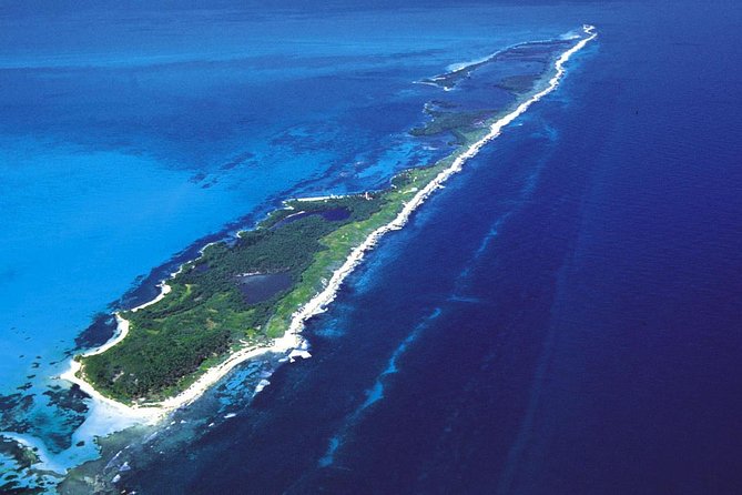 Island Contoy Adventour & Buffete & Isla Mujeres only from Cancun - What to Expect from the Tour